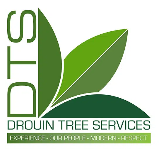 Large Tree Removals